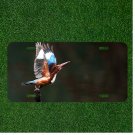 Creative License Plate Tag With Stunning View Of Bird Flapping Colorful Wings