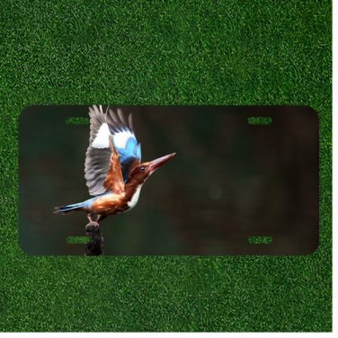 Creative License Plate Tag With Stunning View Of Bird Flapping Colorful Wings