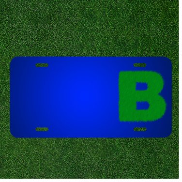 Custom Personalized License Plate With Add Names To Letter B Letter B