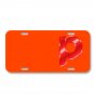 Alphabet P Abc Letter On License Plate Car Front Add Names