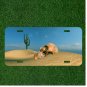 Custom Personalized License Plate Auto Tag With Skull In Desert With Blue Sky