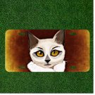 Custom Personalized License Plate Auto Tag With White Cat With Yellow Eyes