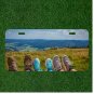Creative License Plate Auto Tag With Familys Shoes Watching View Design