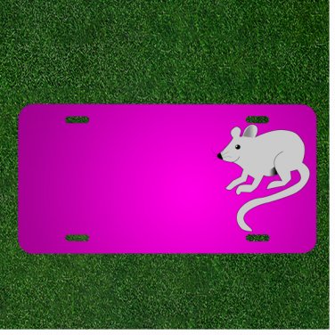 Custom Personalized Car License Plate With Add Names To Mouse Gray Long Tail