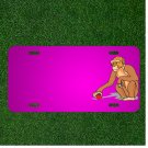 Custom Personalized Car License Plate With Add Names To Ball Shadow Toy Play