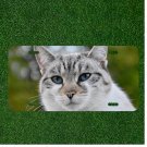 Creative License Plate Auto Tag With Cute White Cat With Blue Eyes View