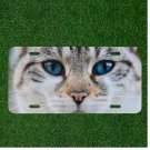 Creative License Plate Auto Tag With Blue Eyed Cat Design Cute