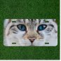 Creative License Plate Auto Tag With Blue Eyed Cat Design Cute