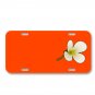Flower Blossom Bloom White Plant On License Plate Car Front Add Names