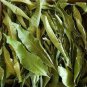 Dried Mango Leaves Natural Tea Making 100+ Leaves