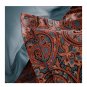 Anne De Solene Paris Royal 2 STANDARD Pillowshams Paisley Terracotta Blue NWT