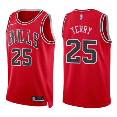 Bulls #25 Dalen Terry Red Swingman Jersey
