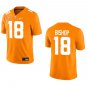 Tennessee Volunteers #18 DeSean Bishop Orange Stitched Jersey
