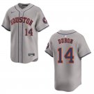 Astros #14 Mauricio Dubon Gray Stitched Jersey