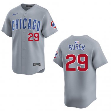 Cubs #29 Michael Busch Gray Stitched Jersey