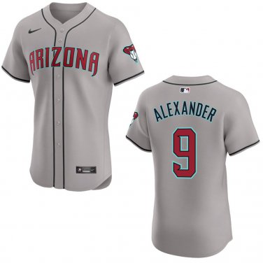 Diamondbacks #9 Blaze Alexander Gray Stitched Jersey