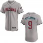 Diamondbacks #9 Blaze Alexander Gray Stitched Jersey