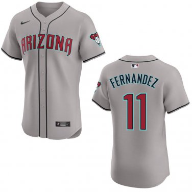Diamondbacks #11 Jose Fernandez Gray Stitched Jersey