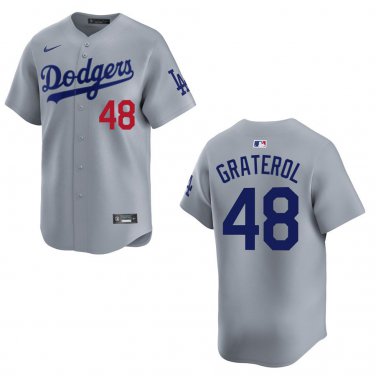 Dodgers #48 Brusdar Graterol Gray Stitched Jersey
