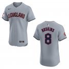 Guardians #8 Rhys Hoskins Gray Stitched Jersey