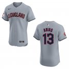 Guardians #13 Gabriel Arias Gray Stitched Jersey