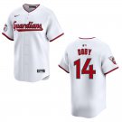Guardians #14 Larry Doby White Stitched Jersey