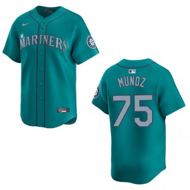 Mariners #75 Andres Munoz Aqua Stitched Jersey