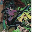 Catwoman #3 (1993) _DC Comics _ Bane _ Jim Balent Art & Cover _ Jo Duffy__1