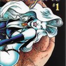 Lady Death In Lingerie #1 (1995) _Chaos! Comics _ Steven Hughes _ Pin-Ups__1 Lady Death In Lingerie #1 (1995) _Chaos! Comics _ Steven Hughes _ Pin-Ups__1