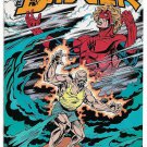 The Badger #6 (1985) _First Comics _ Cover Artwork By Bill Reinhold _ Thorndyke__1 The Badger #6 (1985) _First Comics _ Cover Artwork By Bill Reinhold _ Thorndyke__1