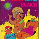 The Hair Bear Bunch #2 (1972) _Bronze Age _ Gold Key _ Classic Hanna-Barbera__1