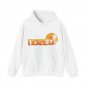 Disc Golf Hoodie, Disc Golfing Palm Trees Disc Golfer Women Men Hoodie