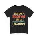 Grandfather Shirt, I'm Not Retired I'm a Professional Grandpa Retirement Shirt