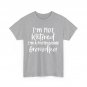 Grandpa Retirement Shirt, I'm Not Retired I'm A Professional Grandpa Shirt