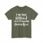 Grandpa Retirement Shirt, I'm Not Retired I'm A Professional Grandpa Shirt