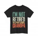 Retired Grandfather Shirt, I'm A Professional Grandpa Funny Quote T-shirt