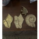 Vintage Brass Seashell Wall Hangs