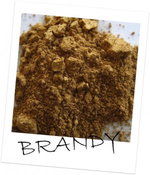 Mineral Makeup~ Eye Shadow Sample ~ Brandy