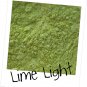 Mineral Makeup Eye Shadow Sample  Lime Light