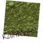 Mineral Makeup Eye Shadow Rainforest 5 Gram Jar