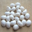 24 Large White Natural Seashell Beads Loose Jewelry Making Supplies Vintage 24 Large White Natural Seashell Beads Loose Jewelry Making Supplies Vintage