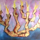 MENORAH