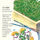 Organic Umami Asian Blend Microgreens Seeds 10 grams_1