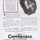 The Copperhead 1920 Silent Civil War Film Original Movie Ad with Lionel Barrymore