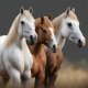Horses & Ponies