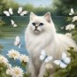 Birman Cat Coloring Book For Adults