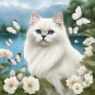 Birman Cat Coloring Book For Adults