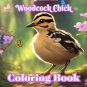 Realistic Woodcock Chick Coloring Book For Adults