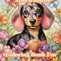 Dachshund Coloring Book For Adults