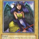 Yu-Gi-Oh! TCG Dark Witch Spell Ruler MRL-019 Unlimited Common